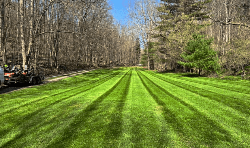 LAWN MOWING